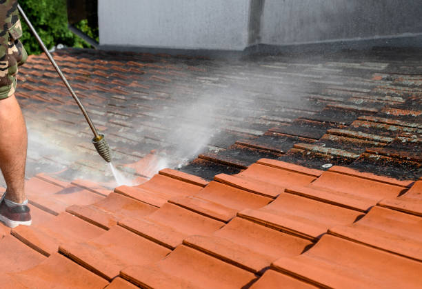 Best Exterior Home Cleaning  in Tobaccoville, NC