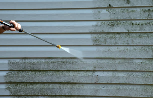 Best Roof Power Washing Services  in Tobaccoville, NC